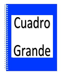 Profesional Espiral Cuadro Grande