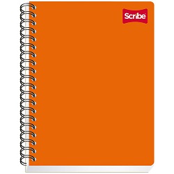Cuaderno Profesional  200 Hojas