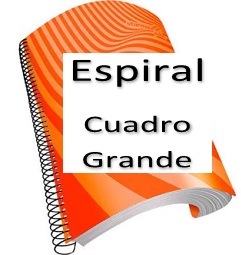 Cuadro Profesional de Espiral Cuadro grande