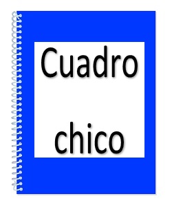 Profesional Espiral Cuadro Chico
